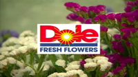 Dole Fresh Flowers